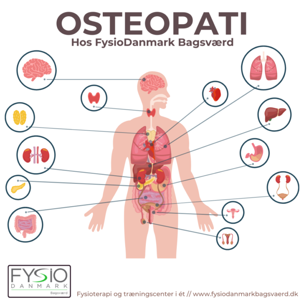 Osteopati